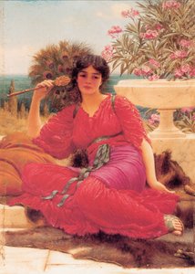 Studio di olio Flabellifera